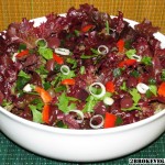 Raw Vegan Purple Rain Salad