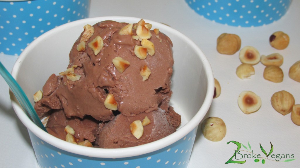 Hazelnut Chocolate Ice Cream