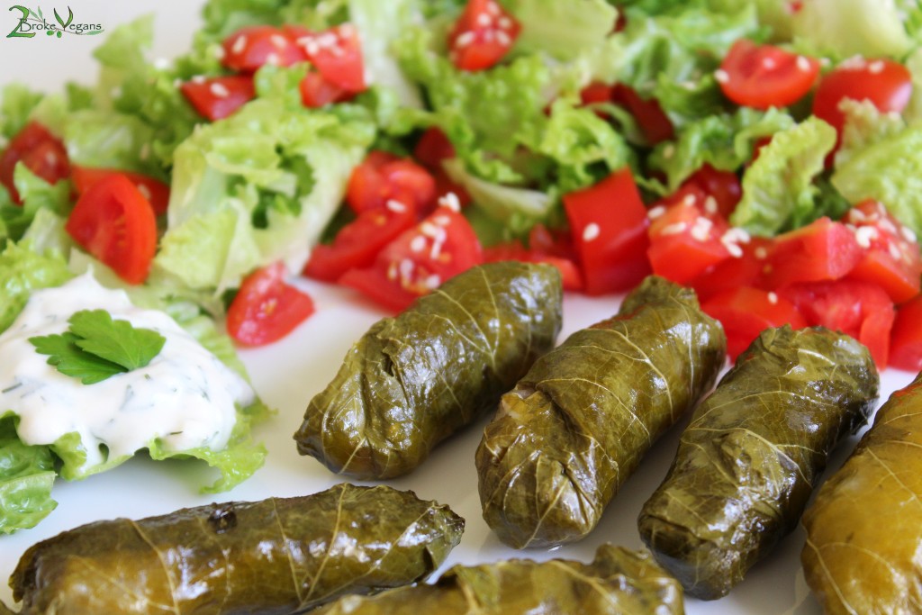 Greek Stuffed Vine Leaves - Dolmadakia Recipe