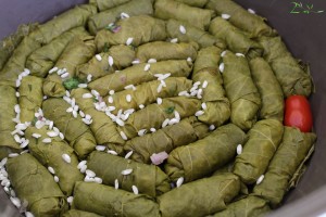 Greek Stuffed Vine Leaves - Dolmadakia