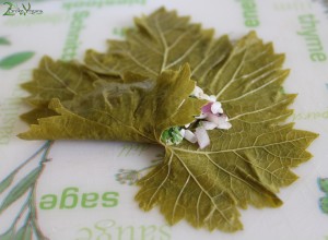 Greek Stuffed Vine Leaves - Dolmadakia