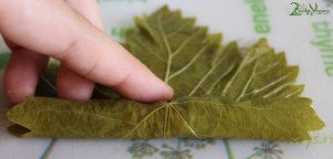 Greek Stuffed Vine Leaves - Dolmadakia